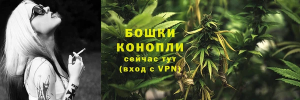 PSILOCYBIN Верея