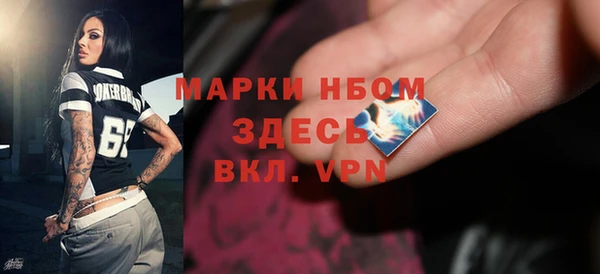 индика Верхний Тагил