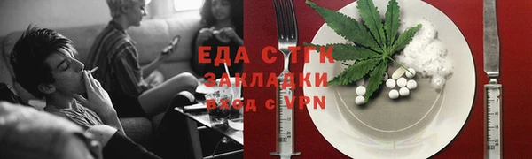 индика Верхний Тагил