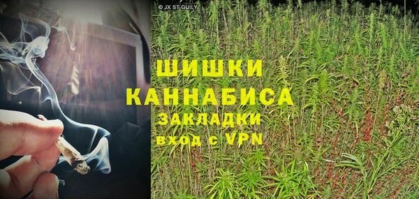 индика Верхний Тагил