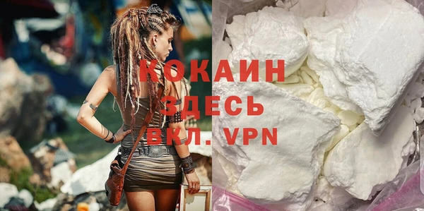 индика Верхний Тагил