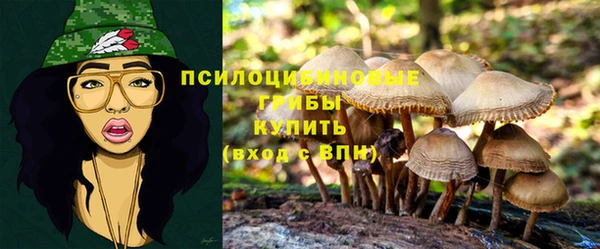твердый Яранск