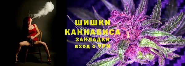 ГАЛЛЮЦИНОГЕННЫЕ ГРИБЫ Яровое