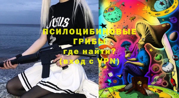 индика Верхний Тагил