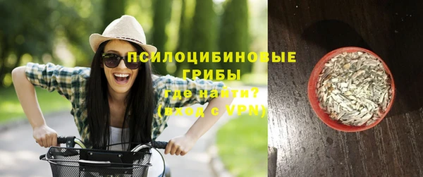 PSILOCYBIN Верея